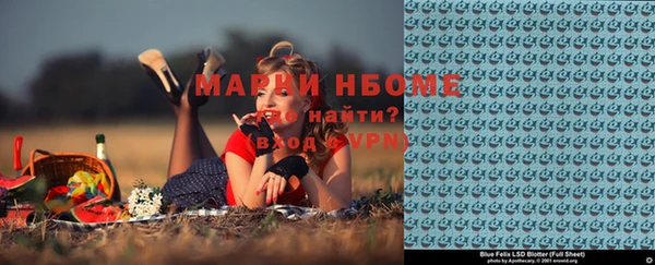 тгк Нея