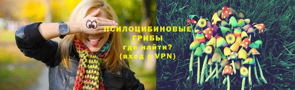 ГАЛЛЮЦИНОГЕННЫЕ ГРИБЫ Наволоки