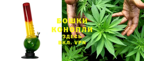 тгк Нея